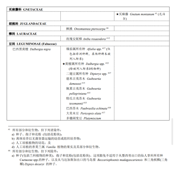 溯源文档详情预览