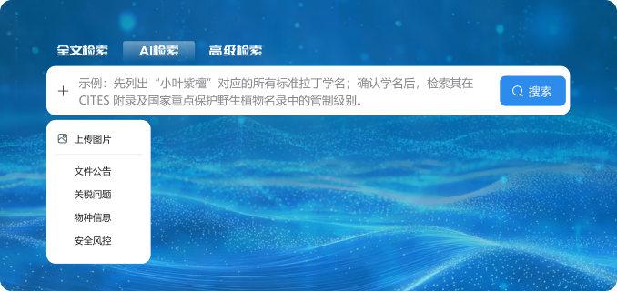 提供具体输入示例